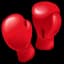 Boxing Match Live
