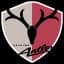 Kashima Antlers Match Live