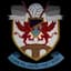 Penybont Match Live