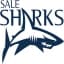 Sale Sharks Match Live